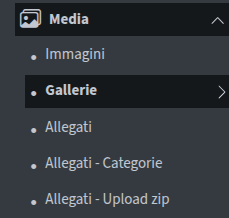 Media > Gallerie > Aggiungi Immagine